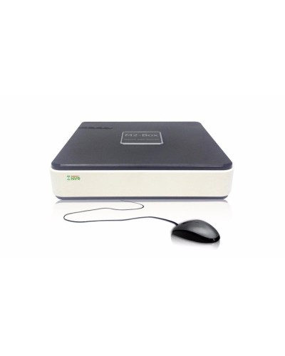 BestNVR-400. IP-видеосервер 4-канальный. BestDVR в Салавате