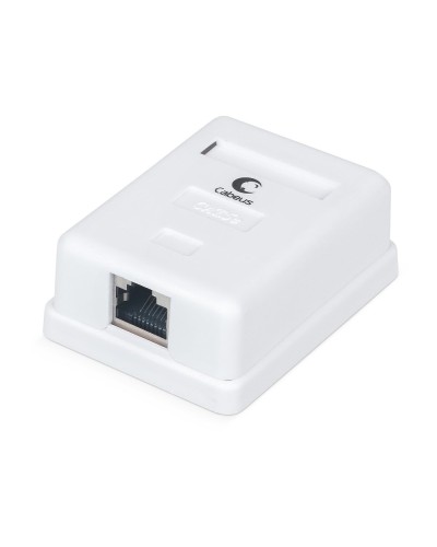 WS-8P8C-Cat.5e-SH-1 (7485c): Розетка RJ-45 в Салавате