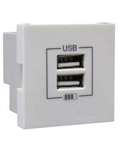 Розетка USB двойная, зарядная, белая (45439 SBR): Розетка USB двойная в Салавате