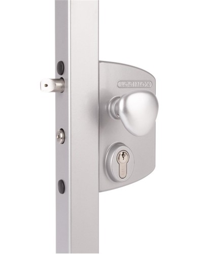 LIKQ4040 U2L (цвет: RAL 9005, черный). Замок электромеханический для калиток. Locinox в Салавате