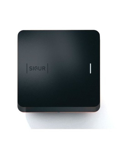 Sigur MR100 Multi. Считыватель. SIGUR в Салавате